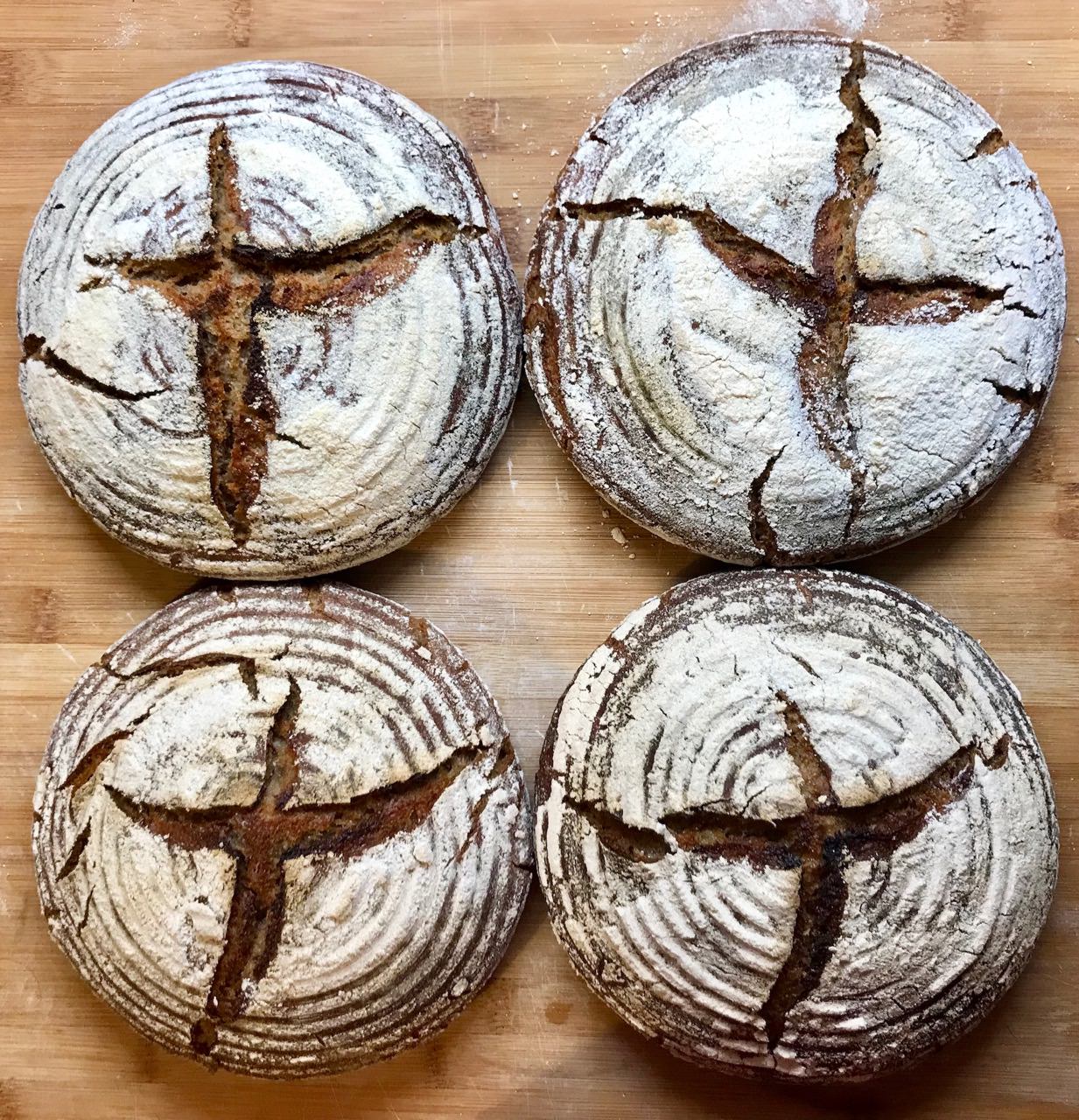 Rye vs rye